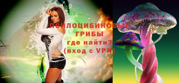 скорость Губаха