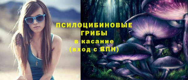 твердый Михайловка