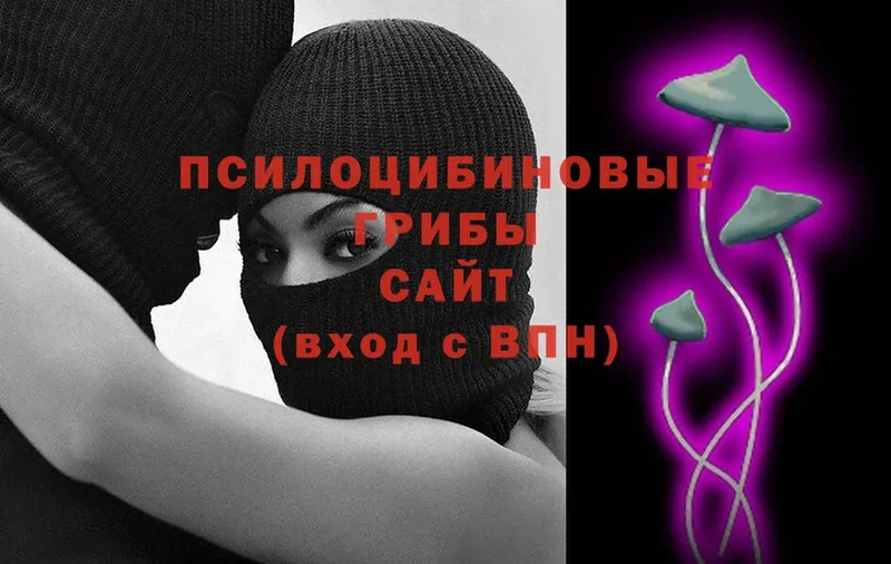 Псилоцибиновые грибы Magic Shrooms  Ершов 