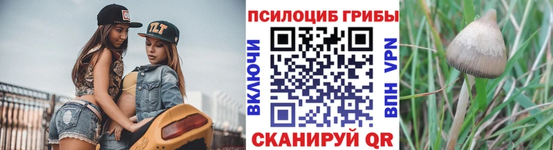 сколько стоит Ершов Галлюциногенные грибы MAGIC MUSHROOMS